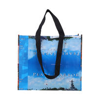 Promotional industrial laminated non woven bags shopping bag non woven packing bag