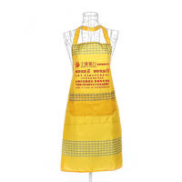 Polyester apron waterproof advertising with customized logo and design foldable apron